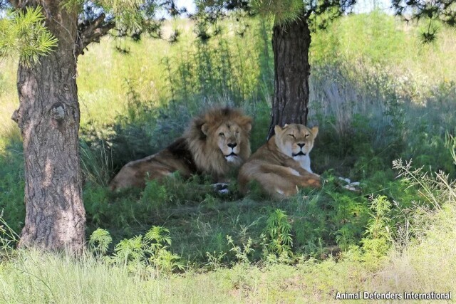 Photo of Муж