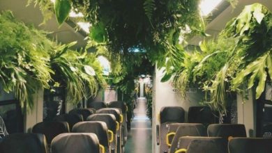 Photo of 25 необычных вещей, которые удивили туристов в разных странах