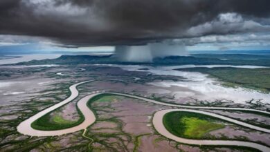 Photo of Впечатляющие пейзажи и природа в фотографиях победителей конкурса Epson Panorama Photo Awards 2024 года (29 фото)