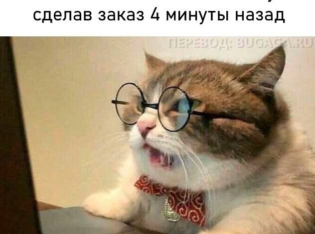 Photo of Прикольные мемы про «Чёрную пятницу» (11 шт)