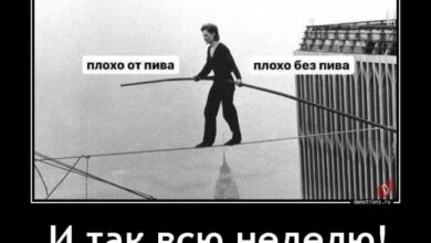 Photo of Демотиваторы на любой вкус: «И так всю неделю» (24 шт)