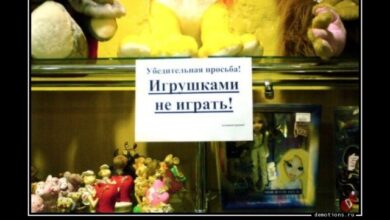 Photo of Демотиваторов пост: «Игрушками не играть» (16 шт)