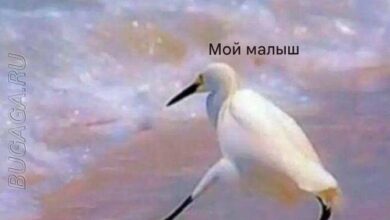 Photo of Прикольные мемы для женщин (9 шт)