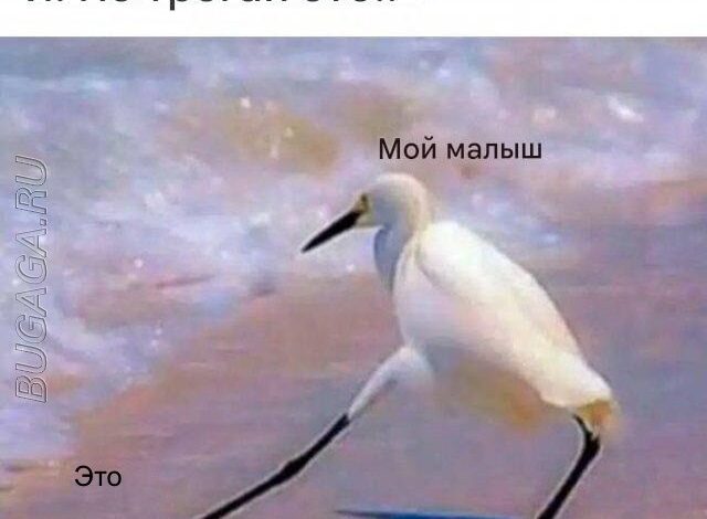 Photo of Прикольные мемы для женщин (9 шт)