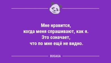 Photo of Анекдоты дня: «Мне нравится, когда меня спрашивают, как я…» (8 шт)