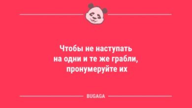 Photo of Анекдоты в середине недели: «Чтобы не наступать на одни и те же грабли…» (11 фото)