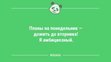 Photo of Анекдоты для позитивного старта недели: «Планы на понедельник…» (11 шт)