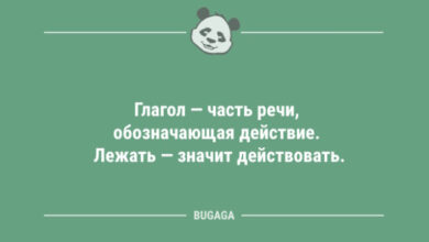 Photo of Анекдотов сборник: «Глагол — это часть речи…» (11 шт)
