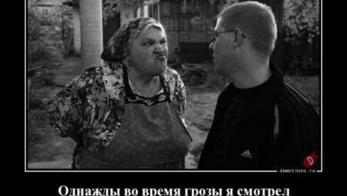 Photo of Демотиваторы свежие, прикольные: «Однажды во время грозы…» (14 фото)