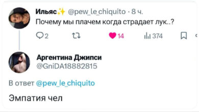 Photo of Прикольные комментарии: «Почему мы плачем, когда страдает лук?» (12 фото)