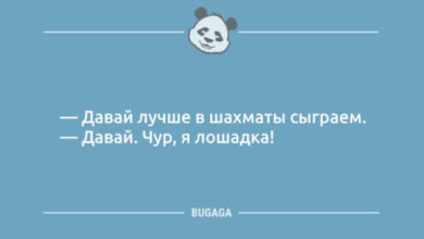Photo of Пост позитива и анекдотов: «Давай лучше в шахматы сыграем…» (10 фото)