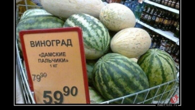 Photo of Демотиваторы на любой вкус: «Какие дамы, такие и пальчики…» (13 фото)