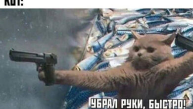 Photo of Юмор с побочными эффектами — мемы | Bugaga