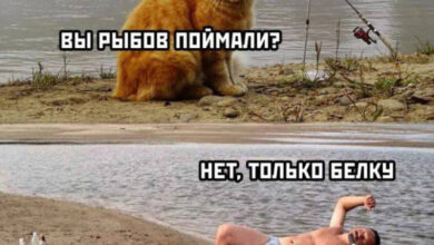 Photo of Планы против реальности