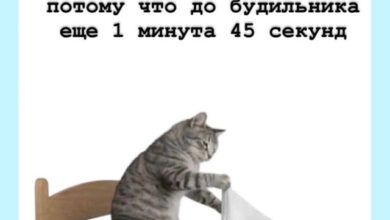 Photo of Абсурдный уголок — смешные картинки и мемы | Bugaga
