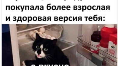 Photo of Случайный поток мыслей — смешные мемы | Bugaga