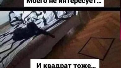 Photo of Интернет сегодня в ударе — смешные фото/мемы/приколы | Bugaga