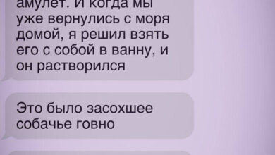 Photo of Сборник без логики, но с настроением — приколы | Bugaga