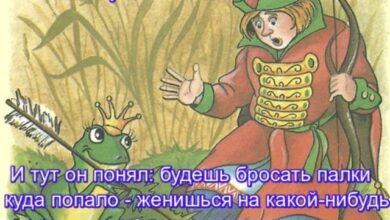 Photo of Сборная Солянка по Реальности — мемы и весёлые картинки | Bugaga