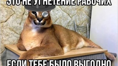 Photo of Доза чистого троллинга — свежие мемы и жёсткие приколы | Bugaga