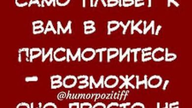 Photo of Мемы уровня «я в шоке» — убойные фото и смешные приколы | Bugaga