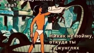 Photo of Мемопад 3000 — лавинообразные приколы и смешные фото | Bugaga