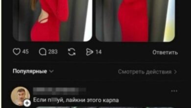 Photo of Набор случайного веселья — смешные мемы | Bugaga