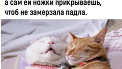 Photo of Суббота как зеркало души — приколы | Bugaga