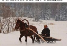 Photo of Мемы для тех, кто вчера опять не спал — Ночной сборник | Bugaga