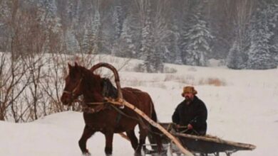 Photo of Мемы для тех, кто вчера опять не спал — Ночной сборник | Bugaga