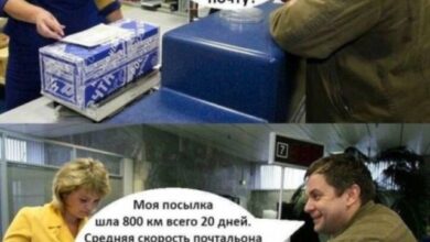 Photo of Хаос в голове и гигабайт смеха — смешные фото | Bugaga