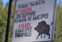 Photo of Солянка из мемов: от грустного гуся до теории заговора | Bugaga