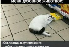 Photo of Проклятие миллениалов и зумеров — смешные фото/мемы/приколы | Bugaga