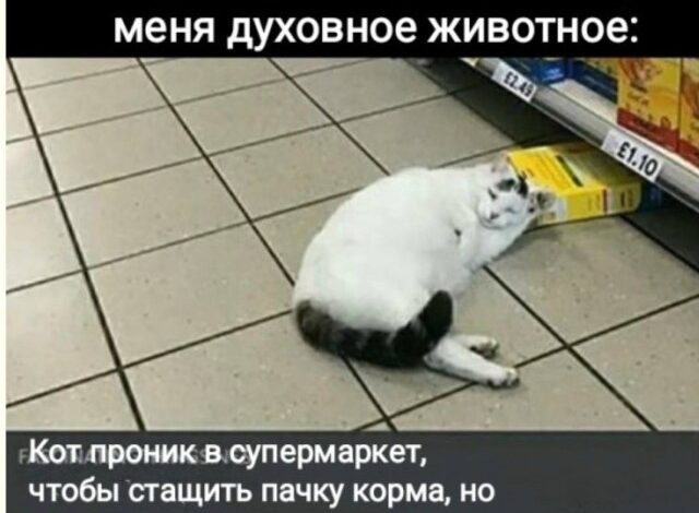 Photo of Проклятие миллениалов и зумеров — смешные фото/мемы/приколы | Bugaga