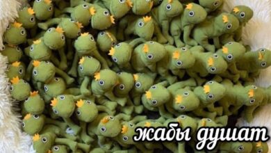 Photo of Психоз выходного дня — смешные фото | Bugaga