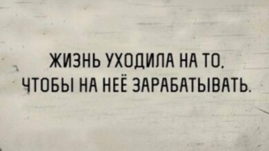 Photo of Бесплатный сыр в мышеловке юмора — мемы | Bugaga