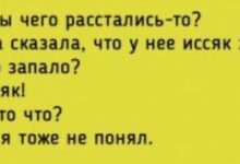 Photo of Голос рассудка vs голос хомяка — приколы | Bugaga