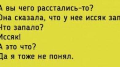 Photo of Голос рассудка vs голос хомяка — приколы | Bugaga