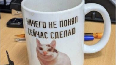 Photo of Апокалипсис сегодня: только смешное спасет мир — смешные картинки | Bugaga