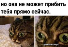 Photo of Подборка мемов на сегодня — смех без повода | Bugaga.ru