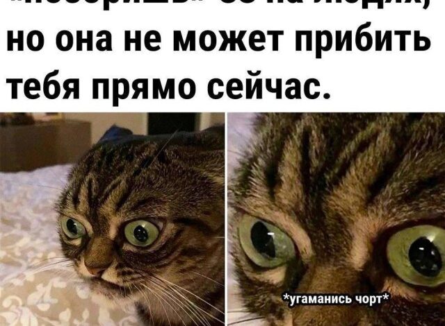 Photo of Подборка мемов на сегодня — смех без повода | Bugaga.ru