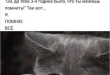 Photo of Собака смеется, кот одобряет — смешные мемы | Bugaga