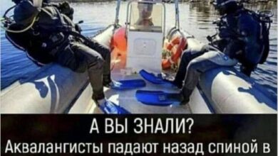 Photo of Коллекция того, что нельзя объяснить — приколы | Bugaga