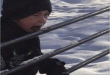 Photo of Подборка приколов: 15 мемов про обычную жизнь | Bugaga.ru