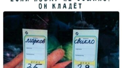 Photo of Подборка случайных мемов — улыбка гарантирована | Bugaga.ru